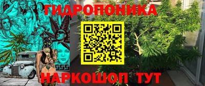 гидропоника Заводоуковск