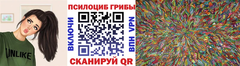 Псилоцибиновые грибы мицелий Кисловодск