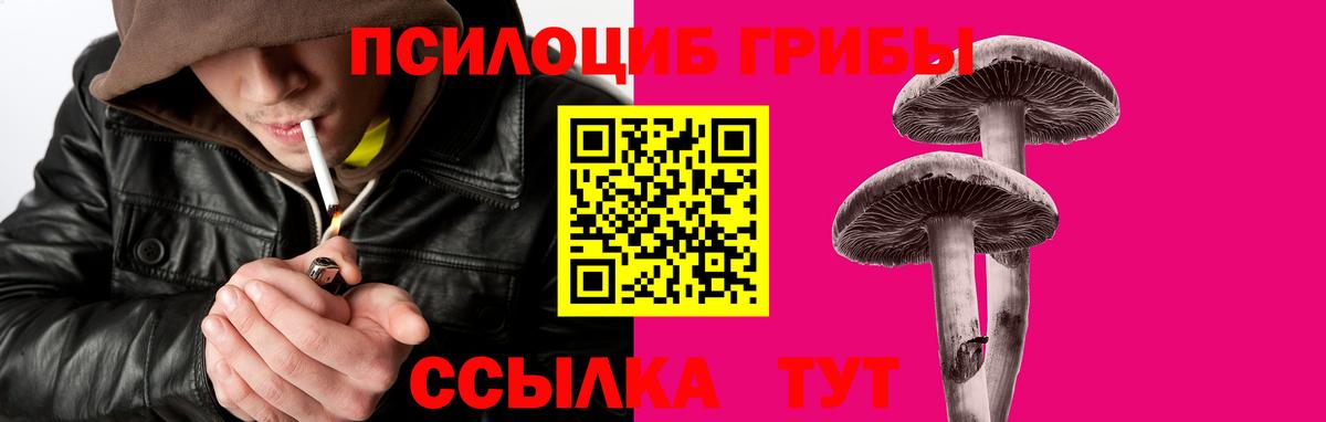 Псилоцибиновые грибы мухоморы  Вход с VPN  дарнет шоп  Кисловодск 