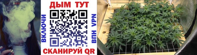 Марихуана THC 21%  Кисловодск 
